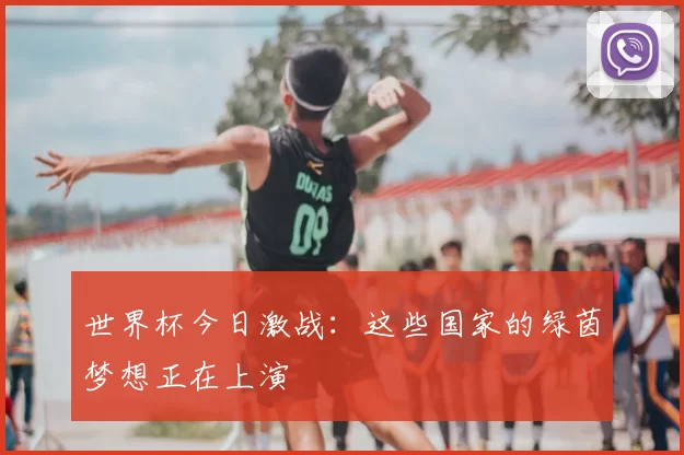 世界杯今日激战：这些国家的绿茵梦想正在上演