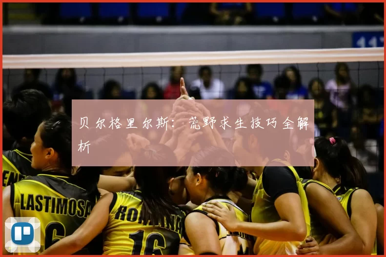 贝尔格里尔斯:荒野求生技巧全解析