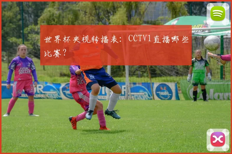 世界杯央视转播表：CCTV1直播哪些比赛？