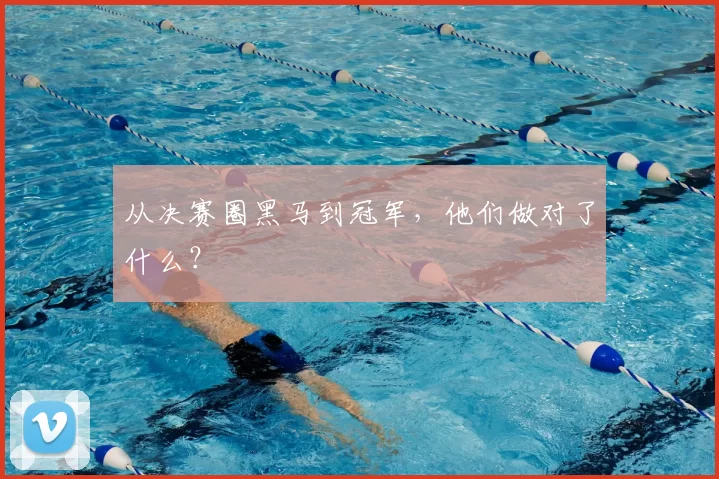 从决赛圈黑马到冠军，他们做对了什么？