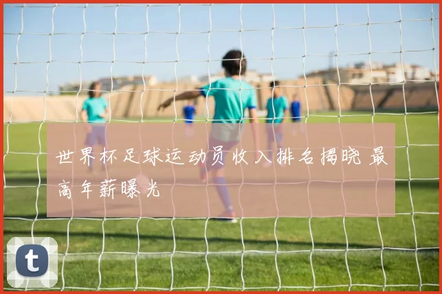 世界杯足球运动员收入排名揭晓 最高年薪曝光