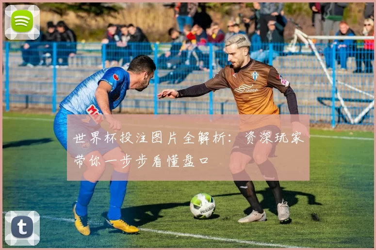 世界杯投注图片全解析：资深玩家带你一步步看懂盘口
