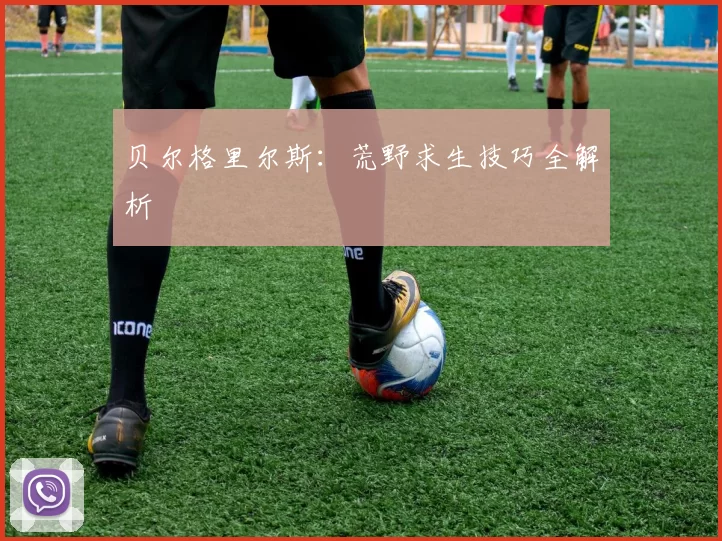 贝尔格里尔斯：荒野求生技巧全解析