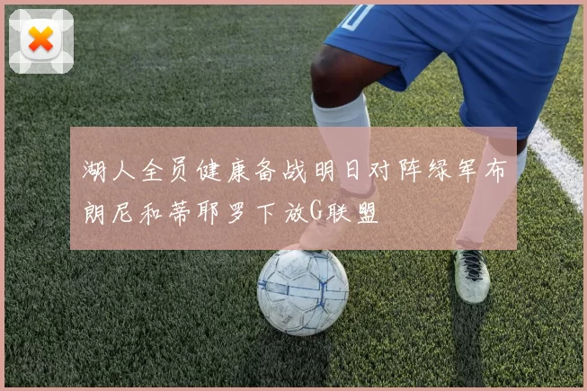 湖人全员健康备战明日对阵绿军布朗尼和蒂耶罗下放G联盟
