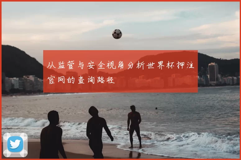 从监管与安全视角分析世界杯押注官网的查询路径