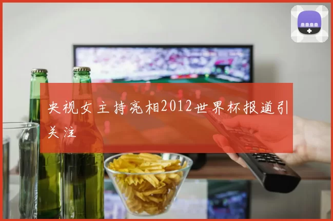 央视女主持亮相2012世界杯报道引关注