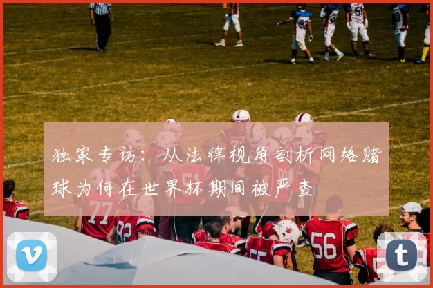 独家专访：从法律视角剖析网络赌球为何在世界杯期间被严查