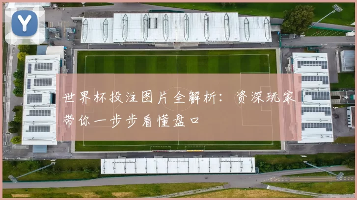 世界杯投注图片全解析：资深玩家带你一步步看懂盘口