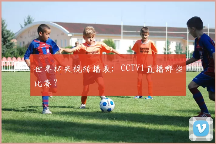 世界杯央视转播表：CCTV1直播哪些比赛？