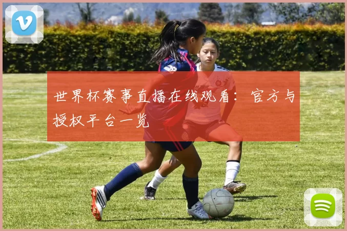 世界杯赛事直播在线观看：官方与授权平台一览