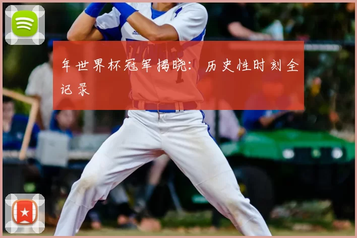 年世界杯冠军揭晓:历史性时刻全记录